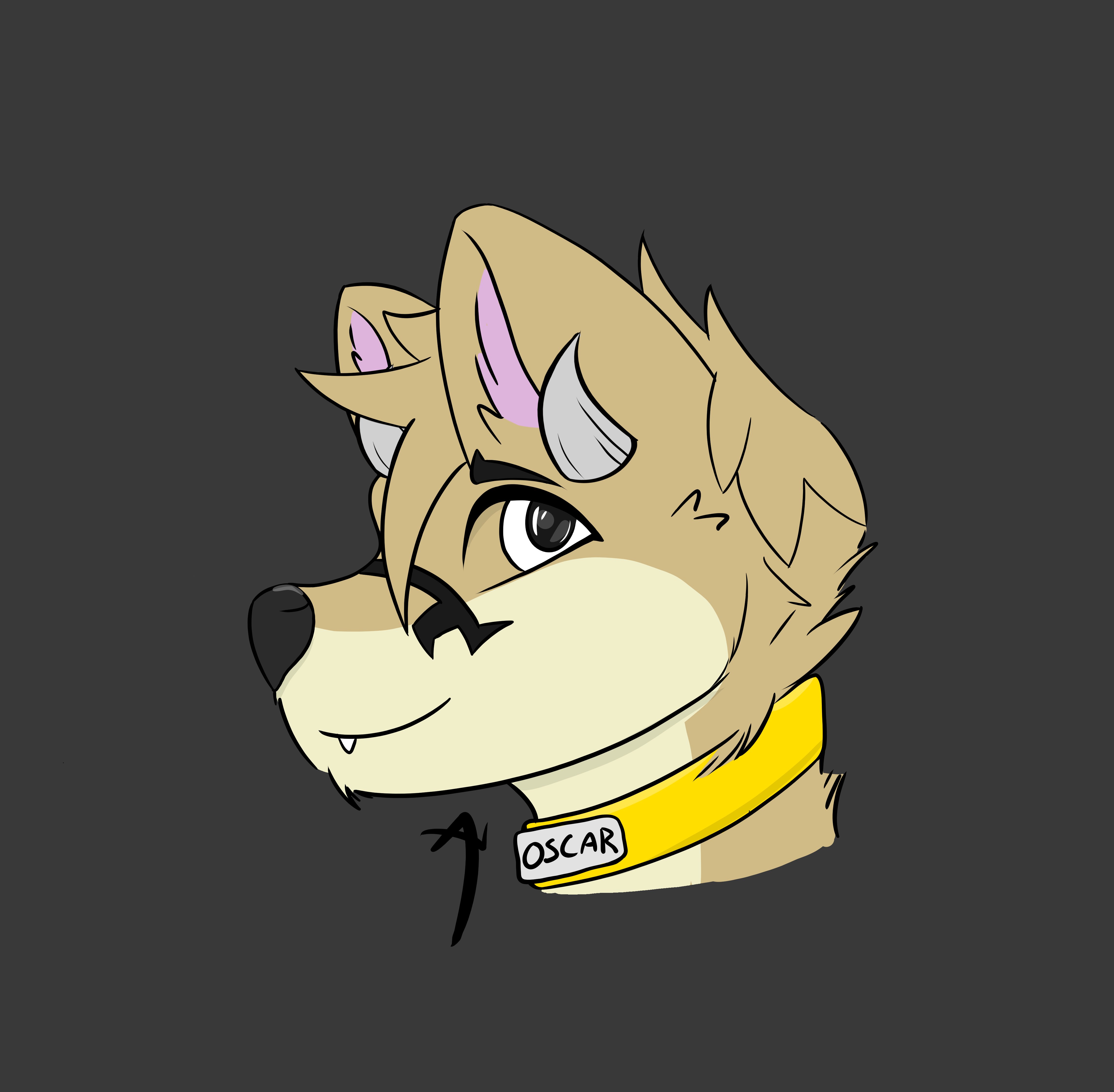 Side shot by Amarukie